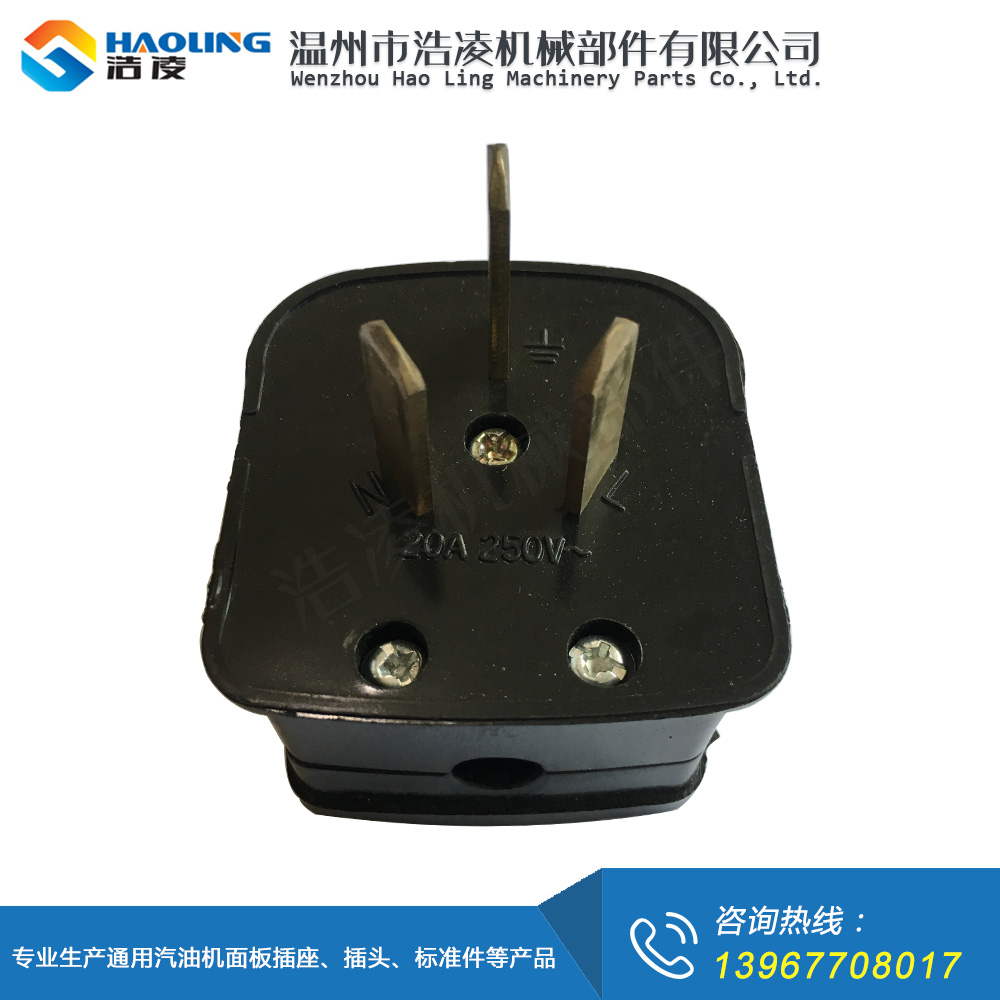 阿根廷20A插頭